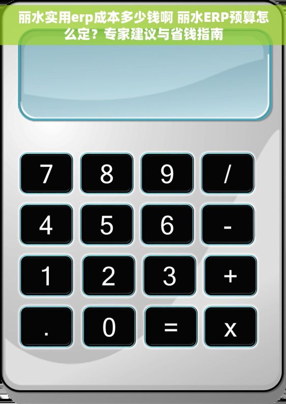 丽水实用erp成本多少钱啊 丽水ERP预算怎么定？专家建议与省钱指南