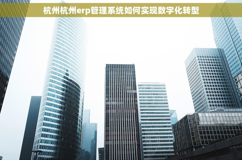 杭州杭州erp管理系统如何实现数字化转型 杭州杭州erp管理系统如何实现数字化转型