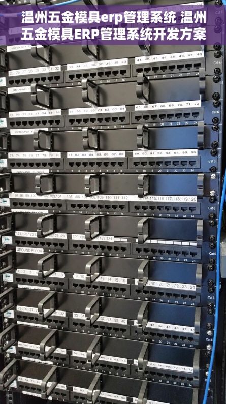 温州五金模具erp管理系统 温州五金模具ERP管理系统开发方案与选择指南