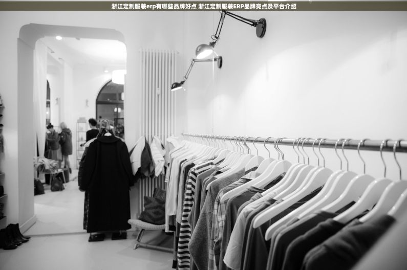 浙江定制服装erp有哪些品牌好点 浙江定制服装ERP品牌亮点及平台介绍