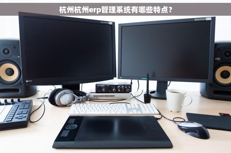 杭州杭州erp管理系统有哪些特点？