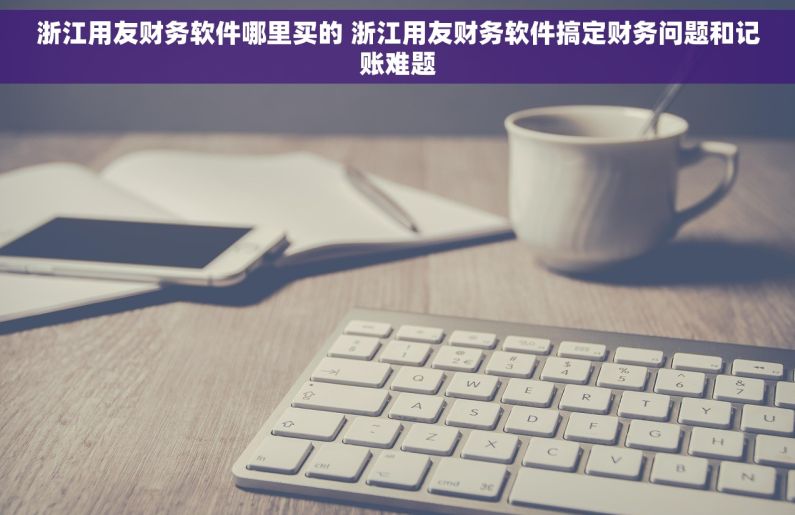 浙江用友财务软件哪里买的 浙江用友财务软件搞定财务问题和记账难题