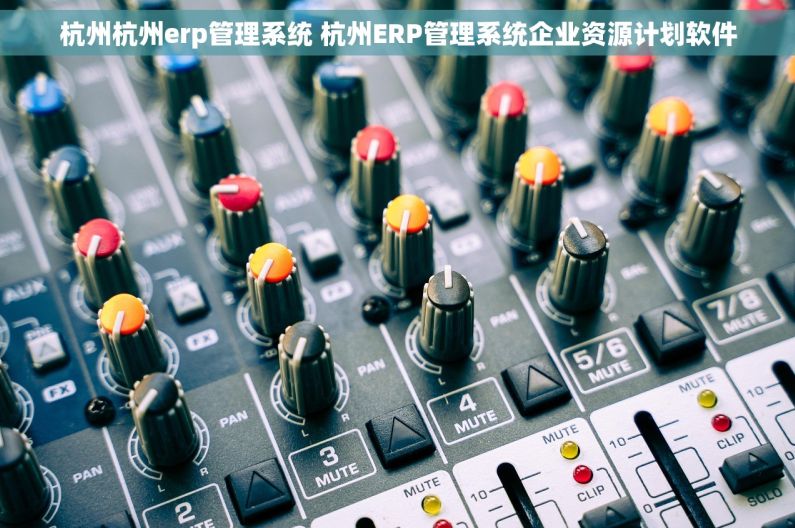 杭州杭州erp管理系统 杭州ERP管理系统企业资源计划软件