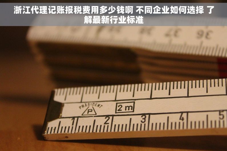 浙江代理记账报税费用多少钱啊 不同企业如何选择 了解最新行业标准