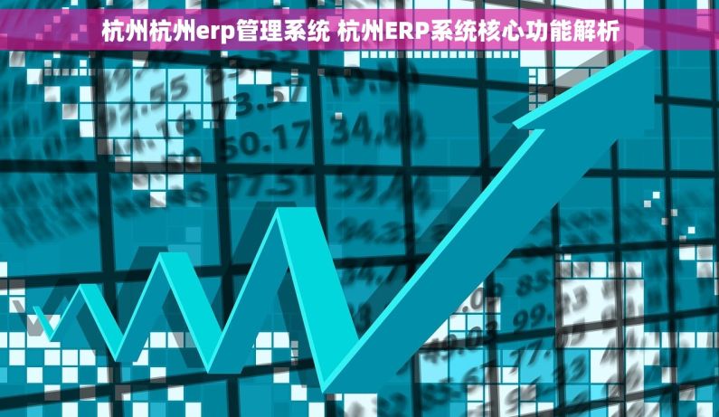 杭州杭州erp管理系统 杭州ERP系统核心功能解析
