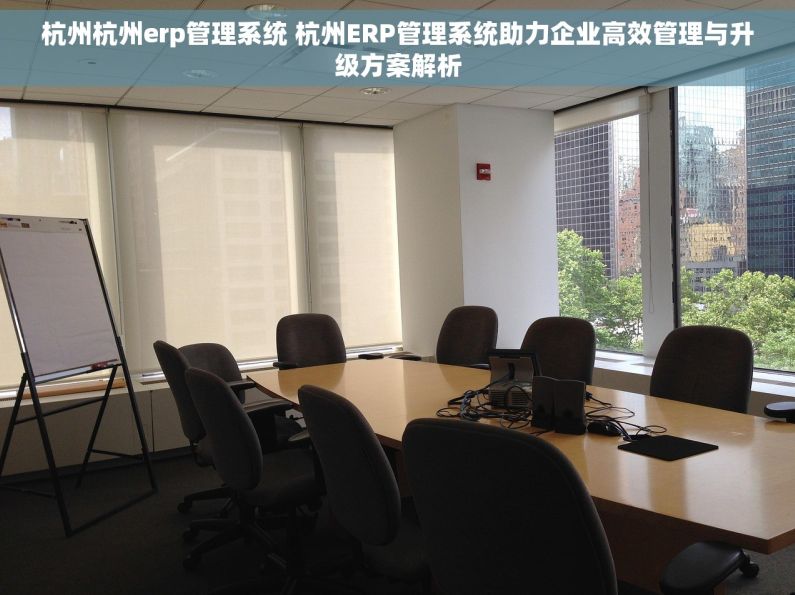 杭州杭州erp管理系统 杭州ERP管理系统助力企业高效管理与升级方案解析