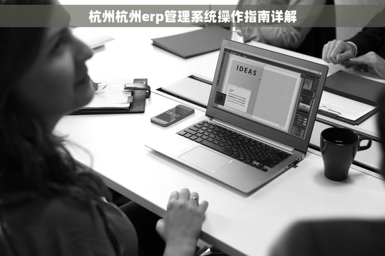 杭州杭州erp管理系统操作指南详解