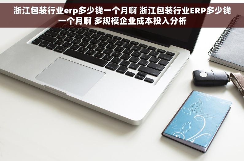 浙江包装行业erp多少钱一个月啊 浙江包装行业ERP多少钱一个月啊 多规模企业成本投入分析