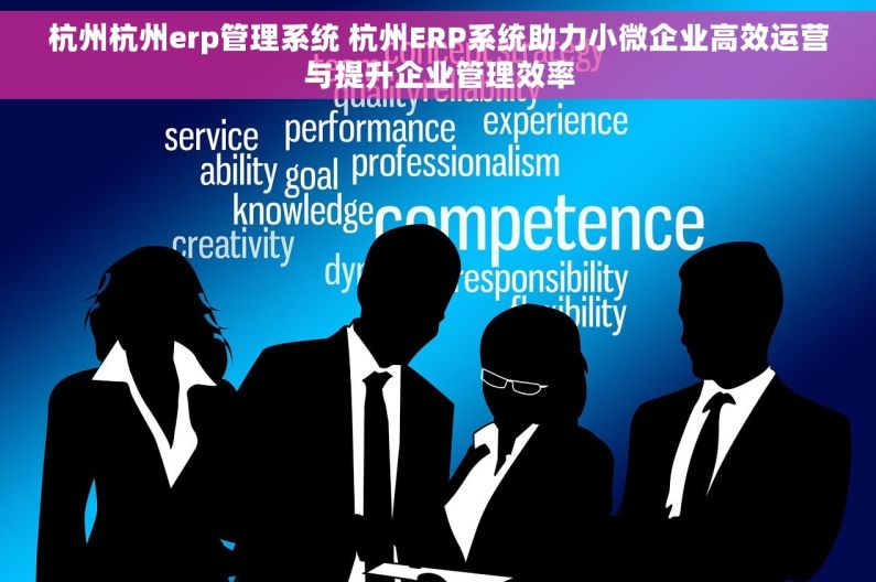 杭州杭州erp管理系统 杭州ERP系统助力小微企业高效运营与提升企业管理效率
