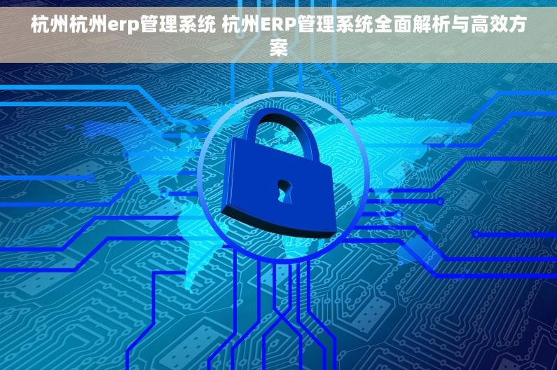 杭州杭州erp管理系统 杭州ERP管理系统全面解析与高效方案