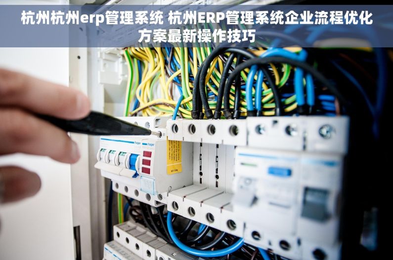 杭州杭州erp管理系统 杭州ERP管理系统企业流程优化方案最新操作技巧