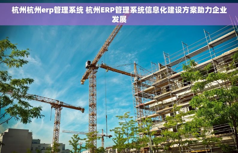杭州杭州erp管理系统 杭州ERP管理系统信息化建设方案助力企业发展