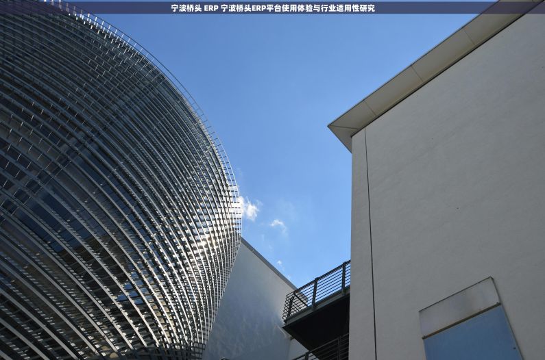 宁波桥头 ERP 宁波桥头ERP平台使用体验与行业适用性研究 宁波桥头 ERP 宁波桥头ERP平台使用体验与行业适用性研究