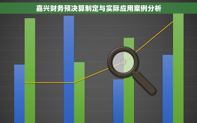 嘉兴财务预决算制定与实际应用案例分析