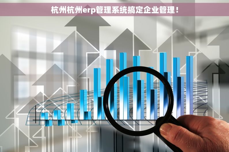 杭州杭州erp管理系统搞定企业管理！