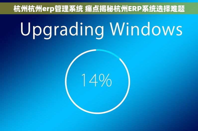 杭州杭州erp管理系统 痛点揭秘杭州ERP系统选择难题