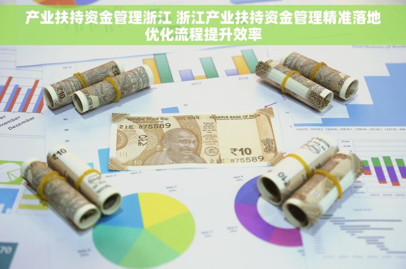 产业扶持资金管理浙江 浙江产业扶持资金管理精准落地优化流程提升效率