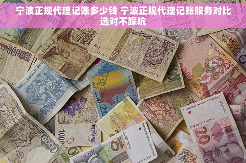 宁波正规代理记账多少钱 宁波正规代理记账服务对比选对不踩坑 宁波正规代理记账多少钱 宁波正规代理记账服务对比选对不踩坑