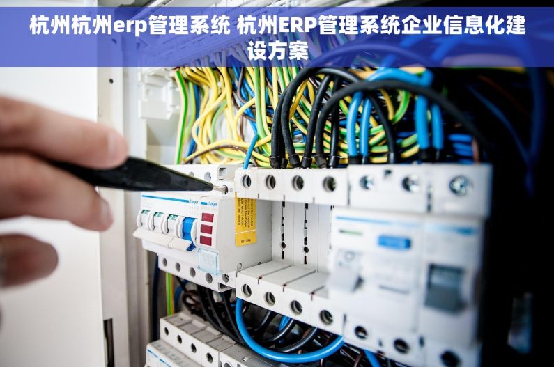 杭州杭州erp管理系统 杭州ERP管理系统企业信息化建设方案 杭州杭州erp管理系统 杭州ERP管理系统企业信息化建设方案