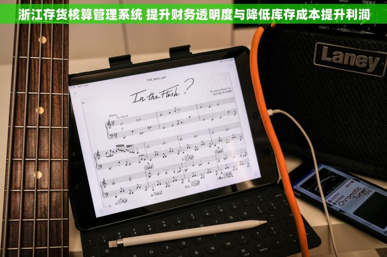 浙江存货核算管理系统 提升财务透明度与降低库存成本提升利润 浙江存货核算管理系统 提升财务透明度与降低库存成本提升利润