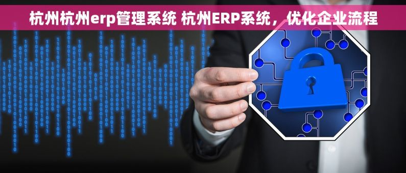 杭州杭州erp管理系统 杭州ERP系统,优化企业流程 杭州杭州erp管理系统 杭州ERP系统,优化企业流程