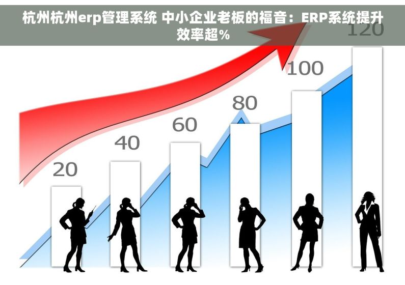 杭州杭州erp管理系统 中小企业老板的福音：ERP系统提升效率超%
