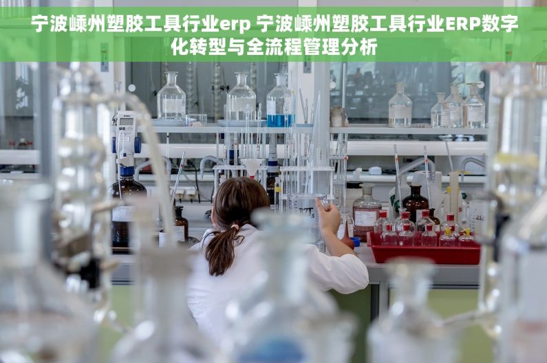宁波嵊州塑胶工具行业erp 宁波嵊州塑胶工具行业ERP数字化转型与全流程管理分析