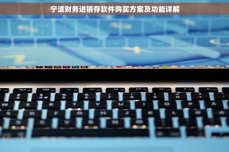 宁波财务进销存软件购买方案及功能详解 宁波财务进销存软件购买方案及功能详解