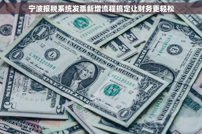 宁波报税系统发票新增流程搞定让财务更轻松 宁波报税系统发票新增流程搞定让财务更轻松