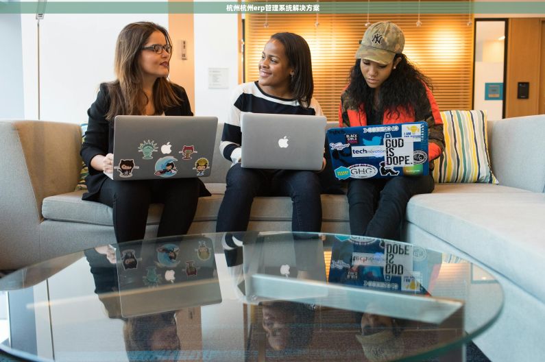 杭州杭州erp管理系统解决方案 杭州杭州erp管理系统解决方案