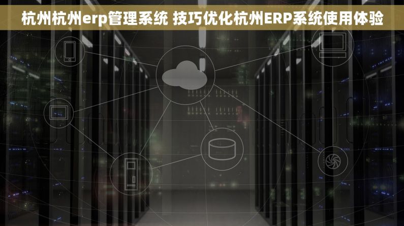杭州杭州erp管理系统 技巧优化杭州ERP系统使用体验