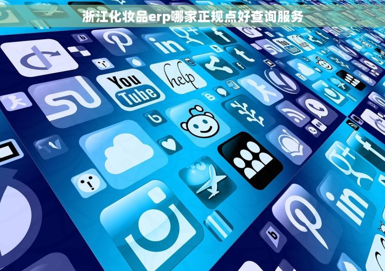 浙江化妆品erp哪家正规点好查询服务 浙江化妆品erp哪家正规点好查询服务