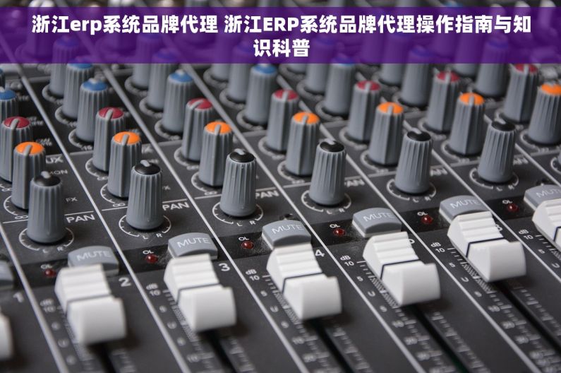 浙江erp系统品牌代理 浙江ERP系统品牌代理操作指南与知识科普 浙江erp系统品牌代理 浙江ERP系统品牌代理操作指南与知识科普