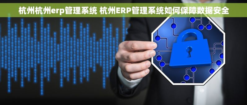 杭州杭州erp管理系统 杭州ERP管理系统如何保障数据安全 杭州杭州erp管理系统 杭州ERP管理系统如何保障数据安全