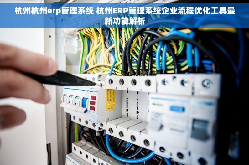 杭州杭州erp管理系统 杭州ERP管理系统企业流程优化工具最新功能解析 杭州杭州erp管理系统 杭州ERP管理系统企业流程优化工具最新功能解析