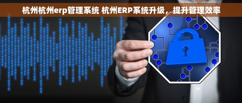 杭州杭州erp管理系统 杭州ERP系统升级,提升管理效率 杭州杭州erp管理系统 杭州ERP系统升级,提升管理效率