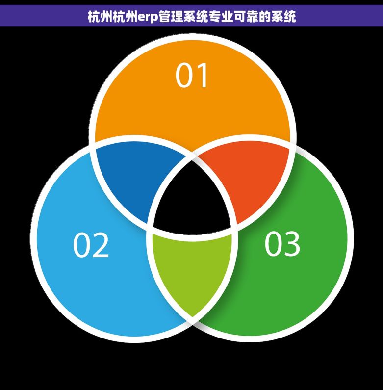 杭州杭州erp管理系统专业可靠的系统 杭州杭州erp管理系统专业可靠的系统