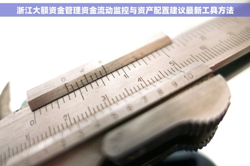 浙江大额资金管理资金流动监控与资产配置建议最新工具方法 浙江大额资金管理资金流动监控与资产配置建议最新工具方法