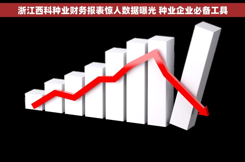 浙江西科种业财务报表惊人数据曝光 种业企业必备工具 浙江西科种业财务报表惊人数据曝光 种业企业必备工具