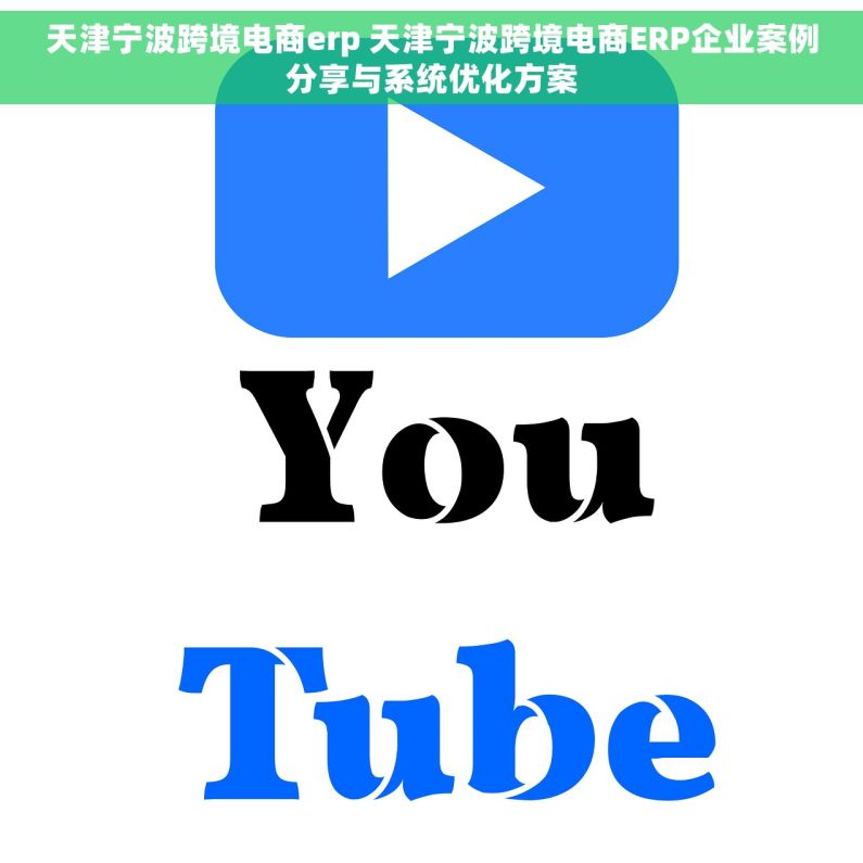 天津宁波跨境电商erp 天津宁波跨境电商ERP企业案例分享与系统优化方案
