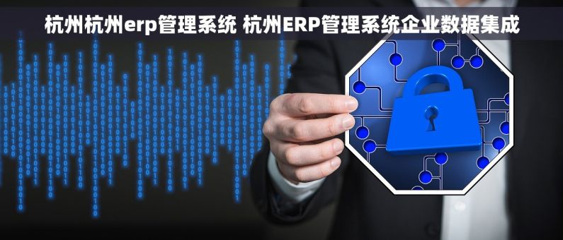 杭州杭州erp管理系统 杭州ERP管理系统企业数据集成 杭州杭州erp管理系统 杭州ERP管理系统企业数据集成