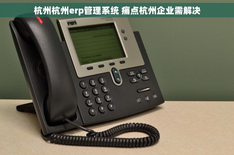 杭州杭州erp管理系统 痛点杭州企业需解决 杭州杭州erp管理系统 痛点杭州企业需解决