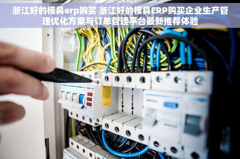 浙江好的模具erp购买 浙江好的模具ERP购买企业生产管理优化方案与订单管理平台最新推荐体验 浙江好的模具erp购买 浙江好的模具ERP购买企业生产管理优化方案与订单管理平台最新推荐体验