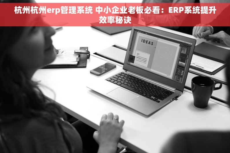 杭州杭州erp管理系统 中小企业老板必看:ERP系统提升效率秘诀 杭州杭州erp管理系统 中小企业老板必看:ERP系统提升效率秘诀