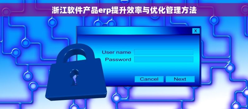浙江软件产品erp提升效率与优化管理方法 浙江软件产品erp提升效率与优化管理方法