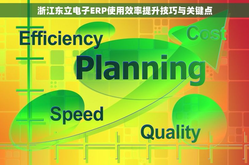 浙江东立电子ERP使用效率提升技巧与关键点 浙江东立电子ERP使用效率提升技巧与关键点