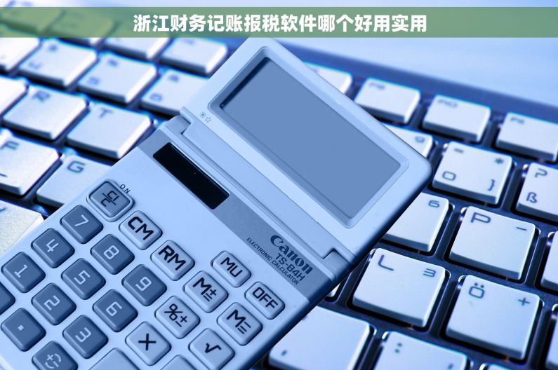 浙江财务记账报税软件哪个好用实用 浙江财务记账报税软件哪个好用实用