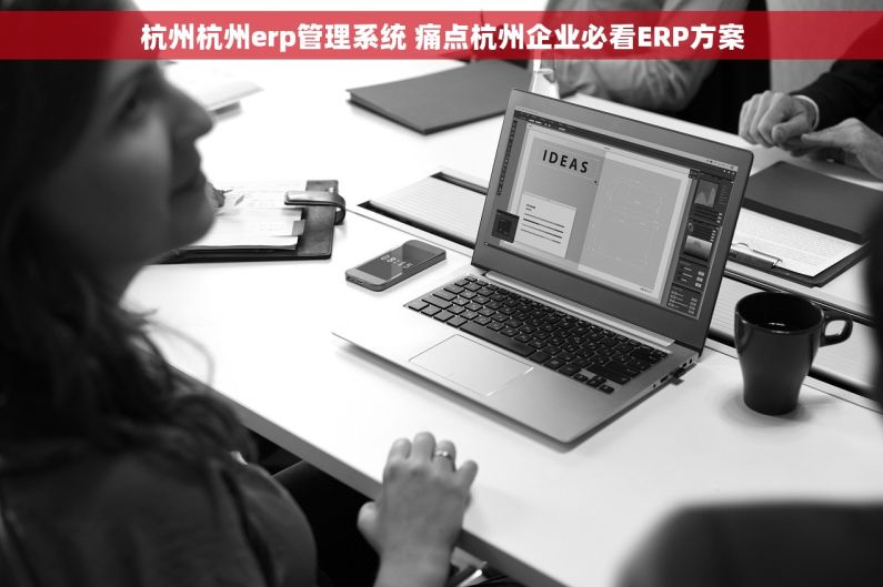 杭州杭州erp管理系统 痛点杭州企业必看ERP方案 杭州杭州erp管理系统 痛点杭州企业必看ERP方案