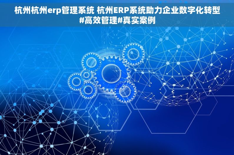 杭州杭州erp管理系统 杭州ERP系统助力企业数字化转型#高效管理#真实案例
