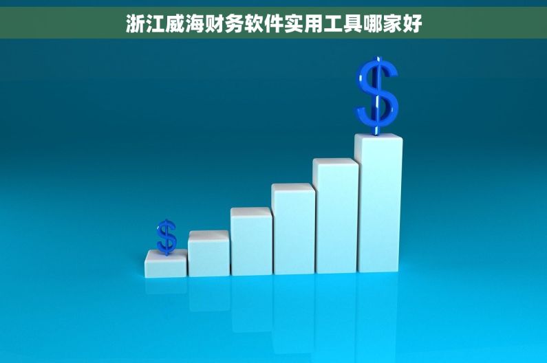浙江威海财务软件实用工具哪家好 浙江威海财务软件实用工具哪家好